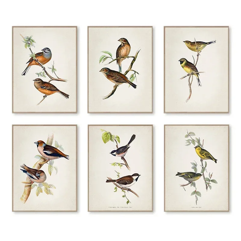 Vintage Fashion Wall Art - Seni Dinding Vintage Ilustrasi Burung Berdiri